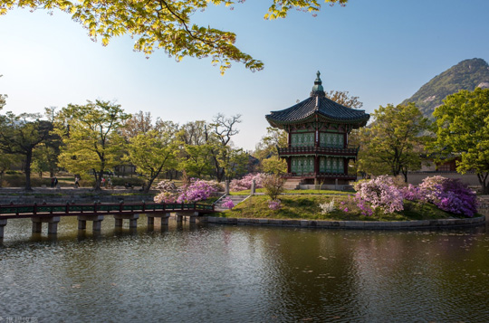 【首尔半自由行】首尔一地4晚5天5花纯玩半自由行