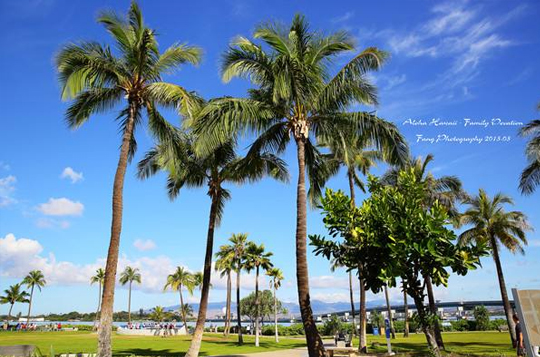 【浪漫之夏夏威夷欧胡岛+珍珠港 9日7晚私家团